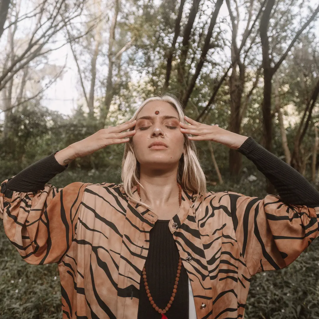 Pack Regulación y Expansión